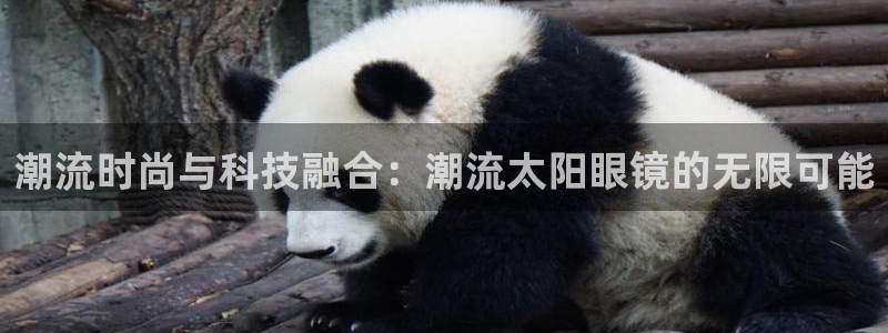 卧龙传统娱乐团购
