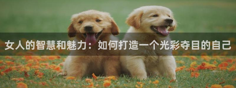 绥阳卧龙湖娱乐