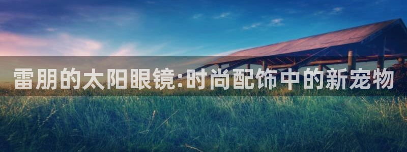 卧龙区夜晚娱乐