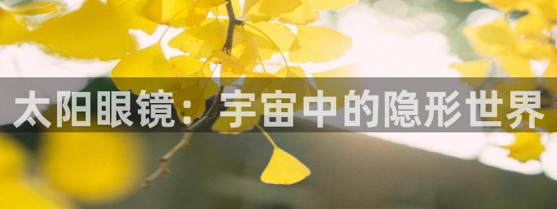 卧龙娱乐招商代理怎么样