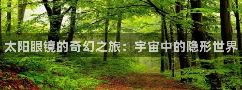 卧龙娱乐32二九01