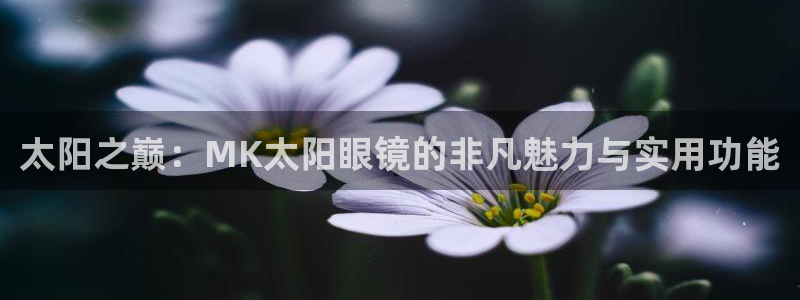 卧龙娱乐总管是谁