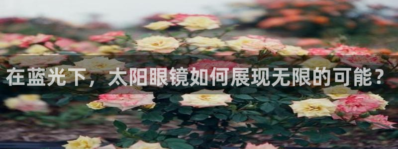 卧龙娱乐 找86555