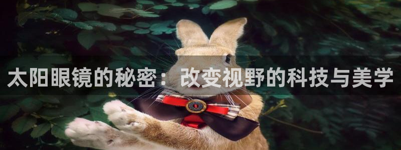 卧龙娱乐挂机软件