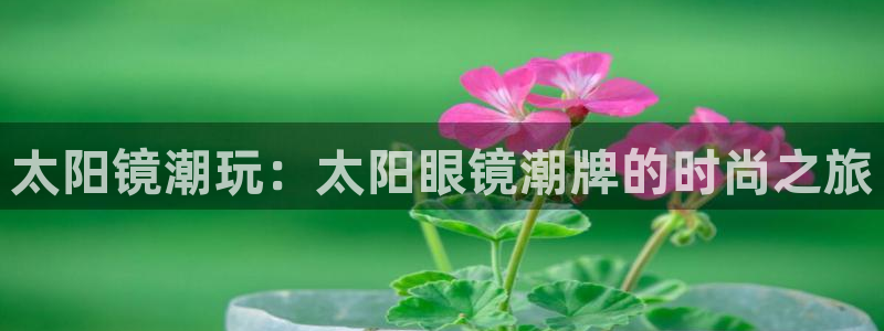 卧龙区夜晚娱乐