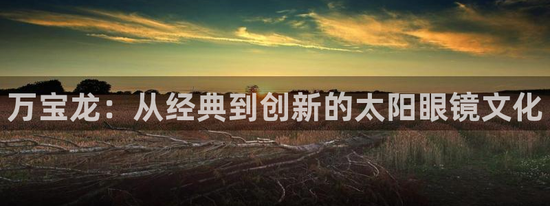 卧龙区维也纳娱乐会所