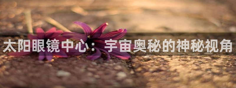 襄阳卧龙镇娱乐