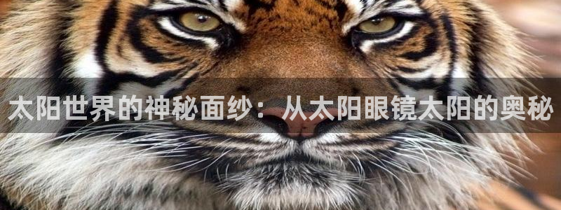 卧龙传统娱乐团购