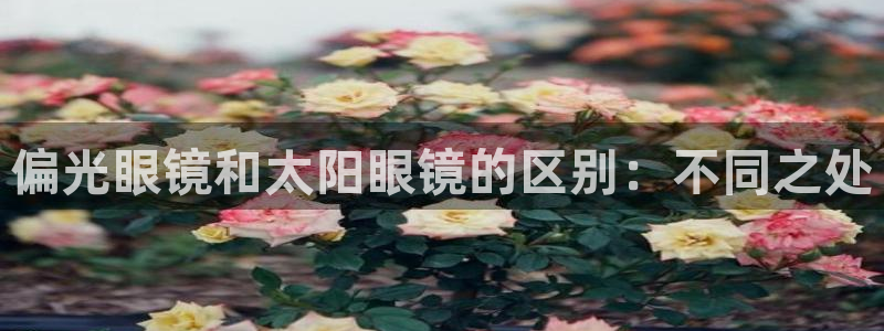 卧龙娱乐平台可靠吗