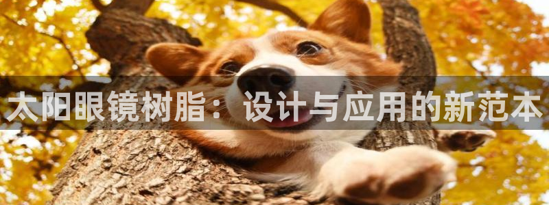 卧龙娱乐app下载苹果