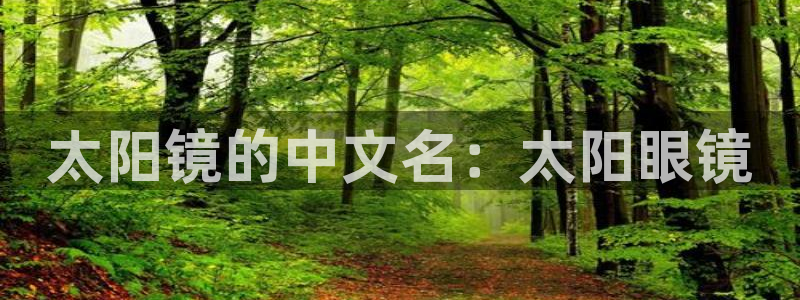 sky娱乐畅通卧龙86877