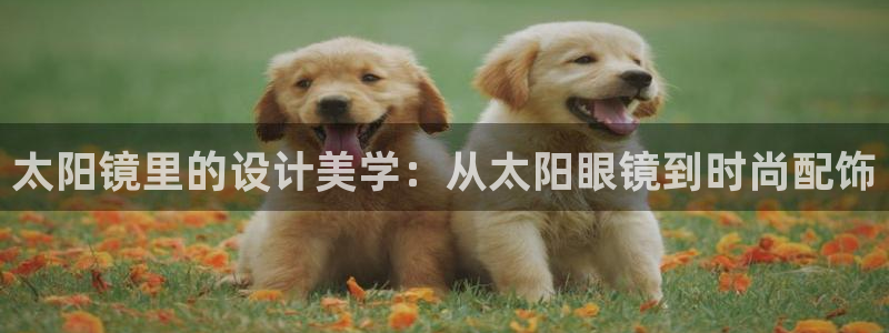 卧龙区娱乐设备