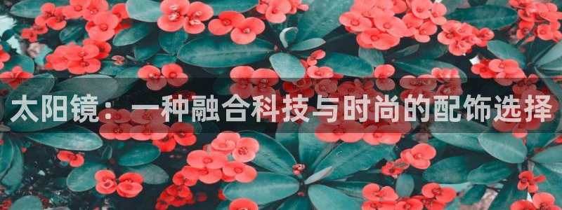 SKY娱乐卧龙主管60447