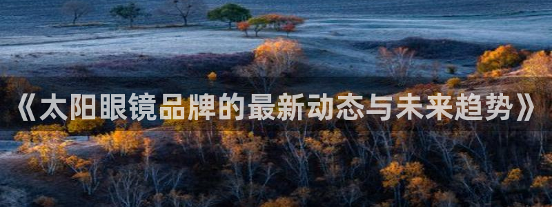 卧龙湾娱乐项目有哪些