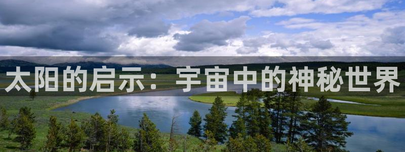 娱乐圈卧龙凤雏