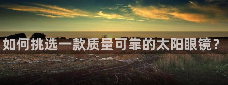 卧龙娱乐左7O667