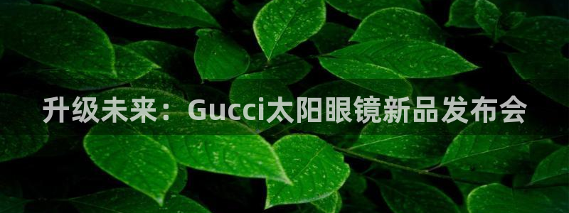 sky娱乐  0 47卧龙