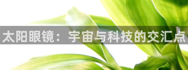 卧龙湾娱乐区