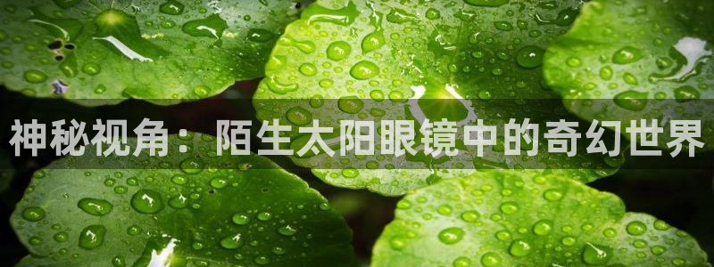卧龙娱乐月7O667