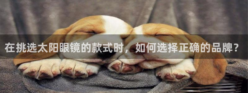 wow卧龙娱乐集团