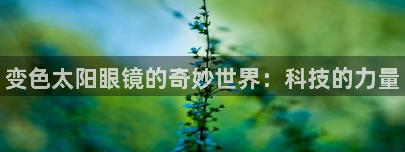 卧龙湖娱乐设施