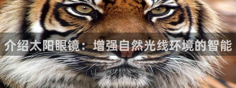 卧龙哥休闲娱乐