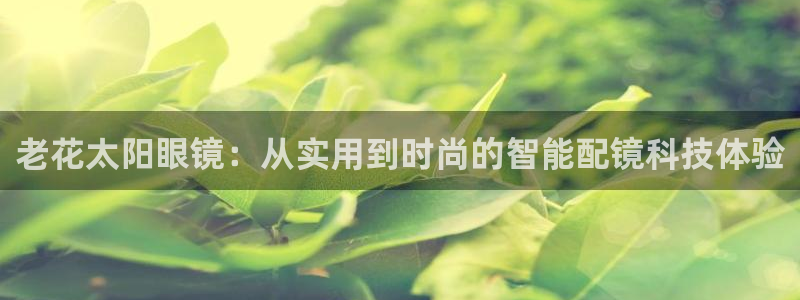 卧龙娱乐总代