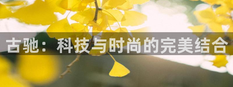 辣椒娱乐卧龙凤雏