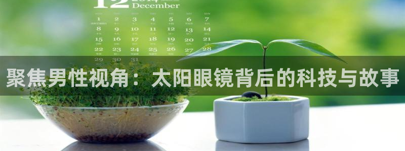 卧龙区维也纳娱乐会所