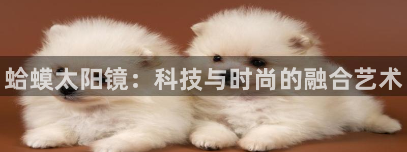 卧龙台球娱乐馆